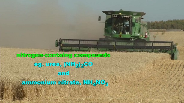 wheat_harvest-copyright_AgriumInc-UWP