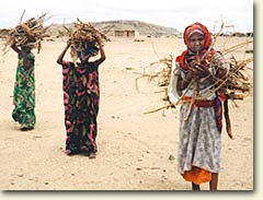women_carrying_firewood