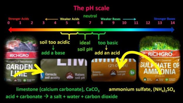 Shedding Light On Acids And Bases Episode 4 PH LIACOS EDUCATIONAL MEDIA